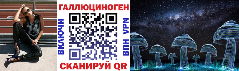 KRAKEN как войти  Лахденпохья  Галлюциногенные грибы мицелий 